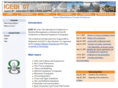 icebi07.org