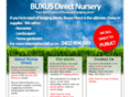 buxusdirectnursery.com