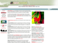 floridaartistsregistry.net