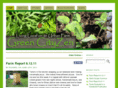 green-cityzen.com