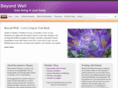 stpaulhomeopath.com