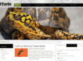 turtlerescueteam.com