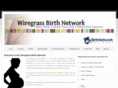 wiregrassbirthnetwork.com