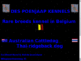 australiancattledog.be