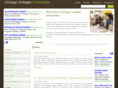 chicagocollegesuniversities.com