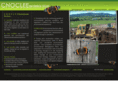 cnoclee.com