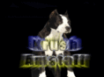 krush-amstaff.com