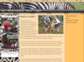 volunteerwings.org