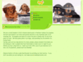 chloesrundachsunds.com