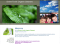 organiccleanersny.com