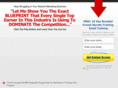 thestrugglingnetworker.com