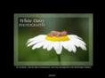 white-daisy.com