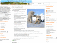 zeneece.com