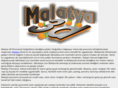 3dmalatya.com