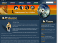 businessonadisc.com