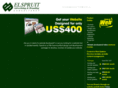 elspruitadvertising.com