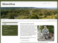 hillcountryusa.com