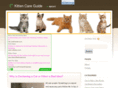 kittencareguide.com