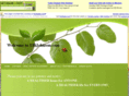 ullijohnson.com