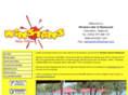 winstans.com
