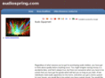 audiospring.com