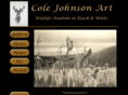 colejohnsonart.com