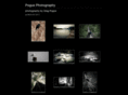 poguephotography.com