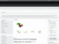 webfirehosting.com