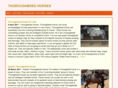 los-aliados.com