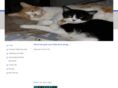 ronnamt.com