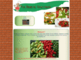 thediabeticvegetarian.com