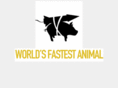 theworldsfastestanimal.com