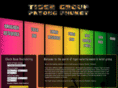 tigergrouppatong.com