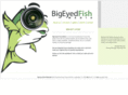 bigeyedfishmedia.com