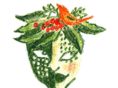 javamamacoffee.com