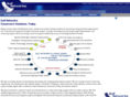 mainpass.com