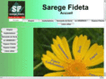sarege.com