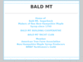 baldmt.net