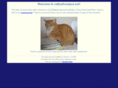 cattywhompus.net