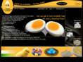 e2necc.com