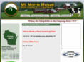 mtmorrisins.com