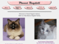 planetragdoll.com