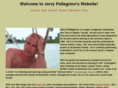 jerrypellegrino.net