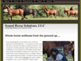 soundhorsesolutions.net