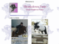 bailiwickponies.com