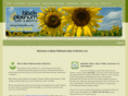blackplatinumsolar.com
