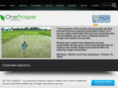 oneprosper.org