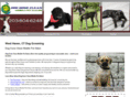 doggonecleanct.com