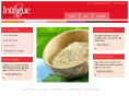 intriguesalonandspa.com