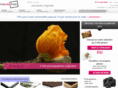 mabelleimage.com